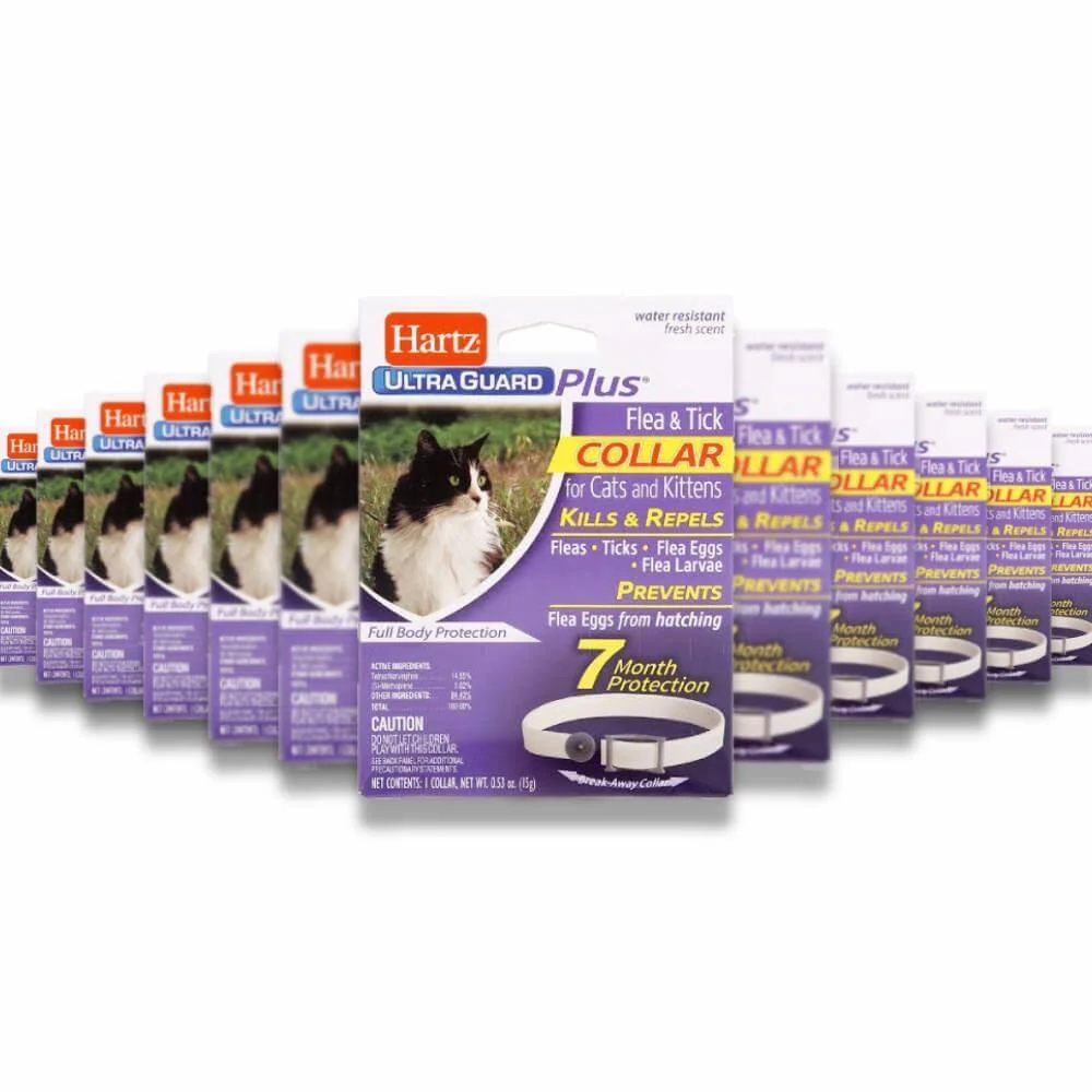 Hartz -UltraGuard Plus Flea & Tick Collar for Cats & Kittens - 1 Ct Each -  48 Pack
