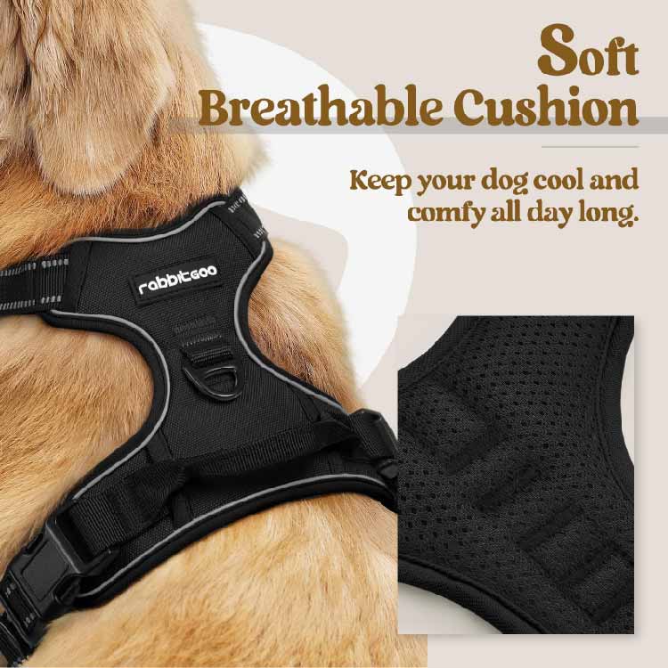 Rabbitgoo - Dog Harness No Pull with 2 Leash Clips, Adjustable Soft Padded - Image 2