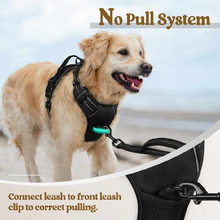 Rabbitgoo - Dog Harness No Pull with 2 Leash Clips, Adjustable Soft Padded - Image 3
